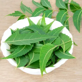 Pineal Guardian Ingredients 
